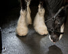 Stalvloer paardenstal