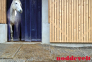 Rubber paddock mat Belmondo Flix - 24mm