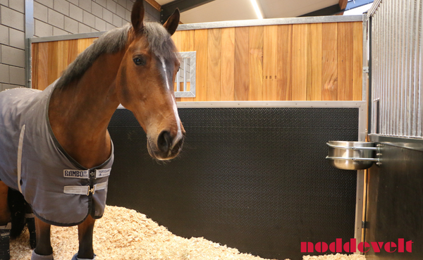 Rubber wanden ter bescherming paarden en stalwanden: 5 opties