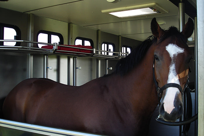 Rubber matten in uw paardenvrachtwagen ter bescherming van uw paard.