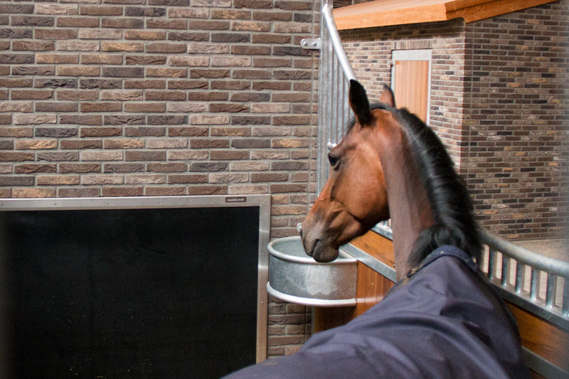 Rubber wanden in paardenstal voor bescherming van uw paard.