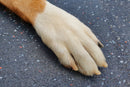Honden Antislipmat rubber - 10mm