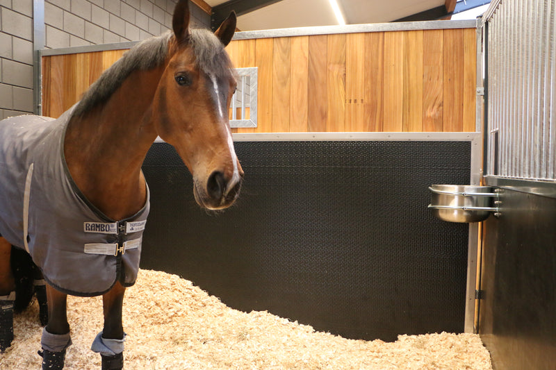 Rubber Wandbescherming Paardenstal - 6mm - extra stevig