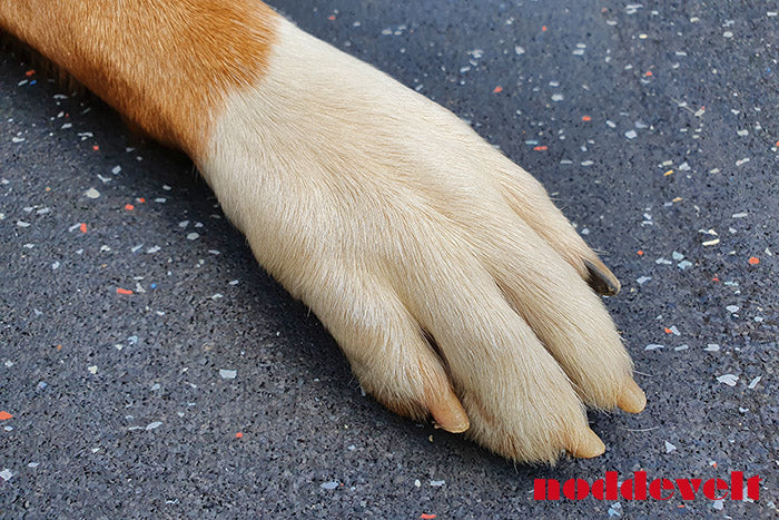 Honden Antislipmat rubber - 10mm